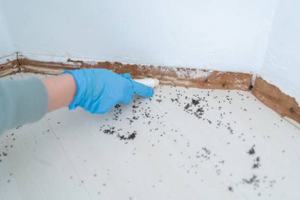 Best Affordable Exterminators  in Newton, MS